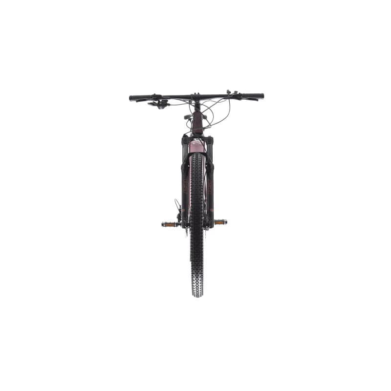 Dámsky horský elektrobicykel AMULET 29 eRival 5.5 SH, orient red black 6