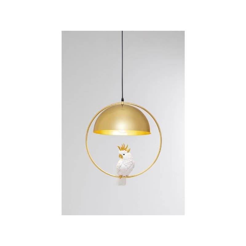 Animal Cockatoo visiaca lampa