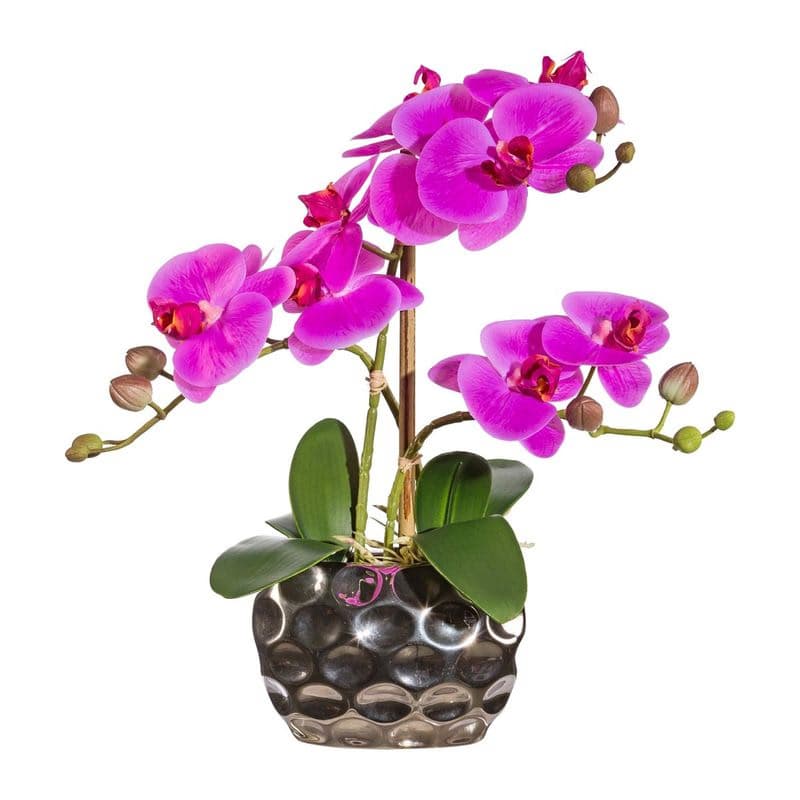 Orchidea x3, približne 30 cm, fialová, v oválnej váze 1