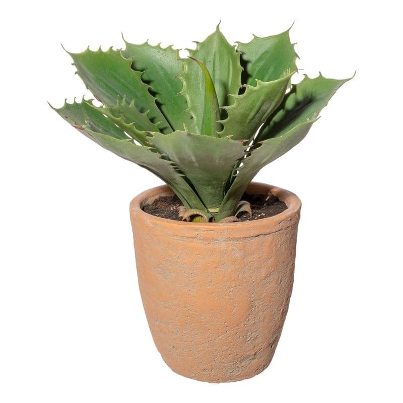Umelý kvet Echeveria 25 cm, zelená 1