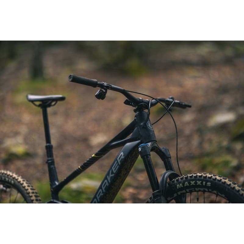 Horský elektrobicykel MONDRAKER Sly RR, black nimbus grey tonic gold 5