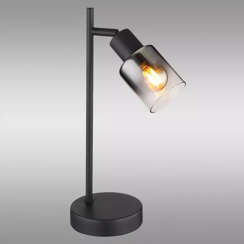 Lampa Hubertus 54308T LB1 1