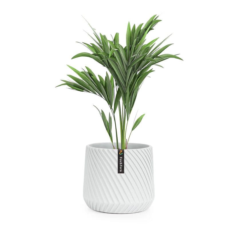 Fox & Fern Heusden, kvetináč, Polystone, vhodný pre rastliny, ručná výroba 1