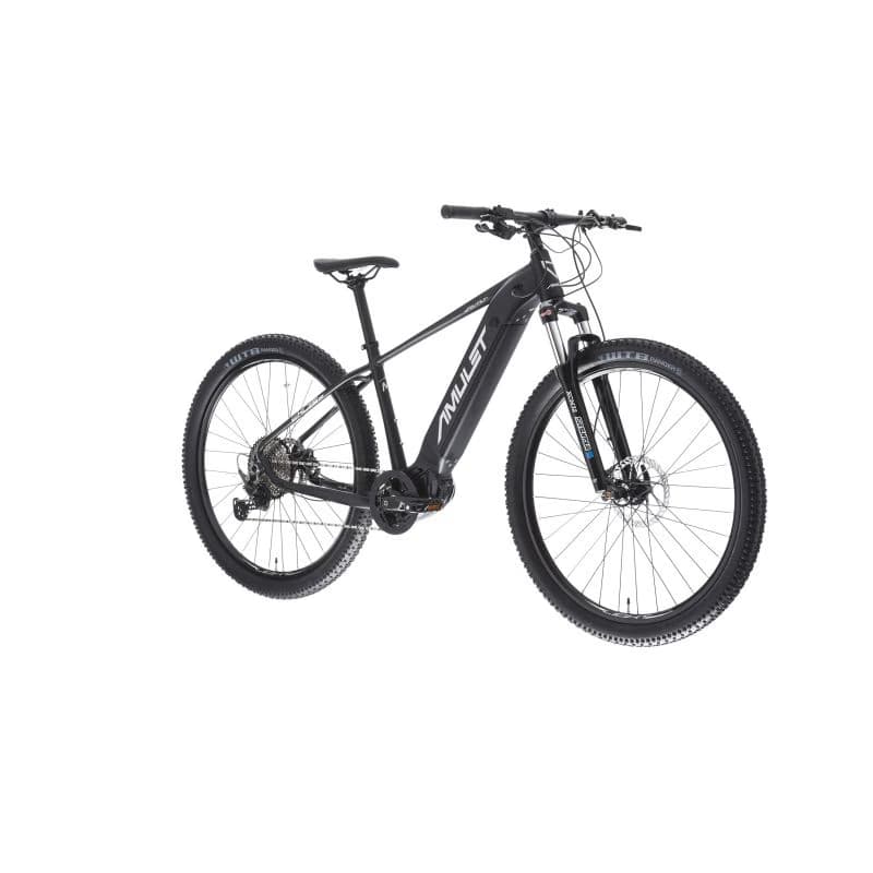 Horský elektrobicykel AMULET 29 eRival 5.0 SH, black matt silver 2