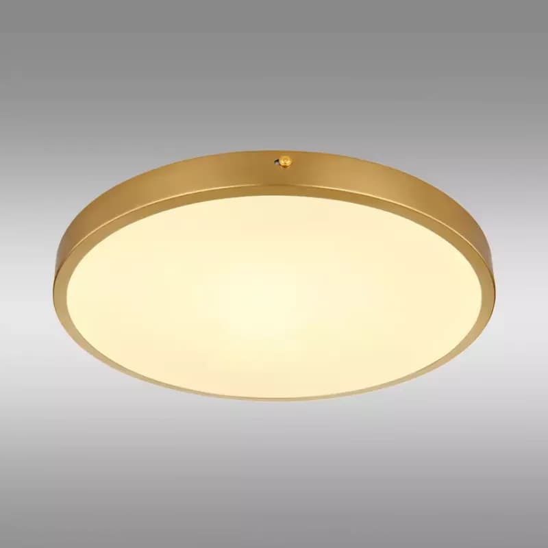 Stropná lampa Tibey 12381-22 LED PL1 1