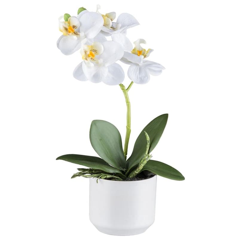 Umelá orchidea v kvetináči, 27 cm, biela 1