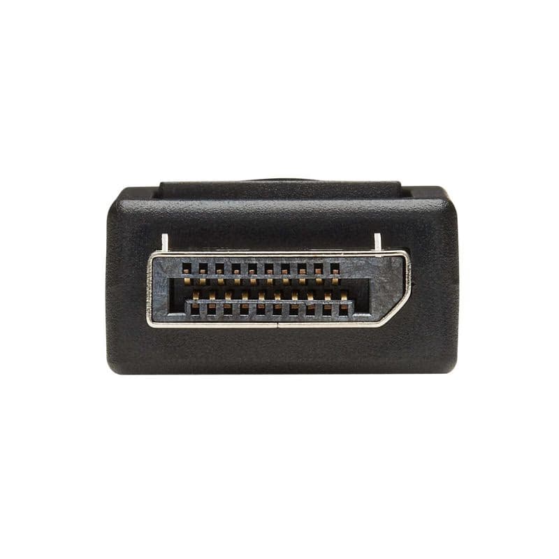 Video adaptér DisplayPort / DVI (Samec/Samice), 15.2cm 4