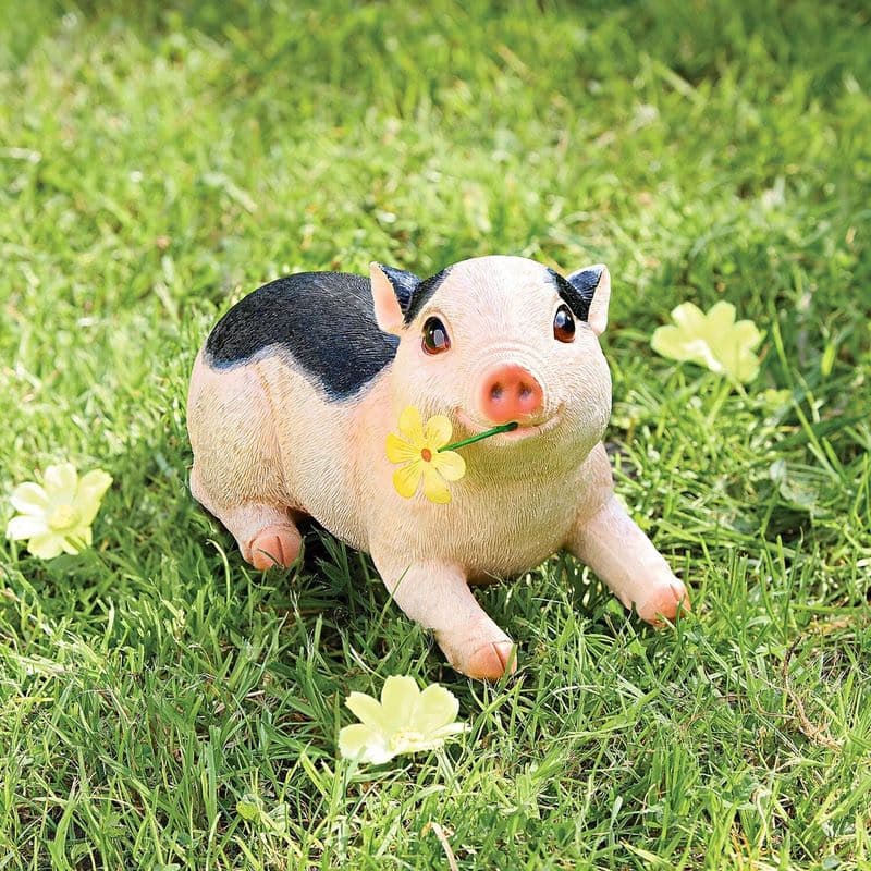 Figúrka prasiatka Molly 1