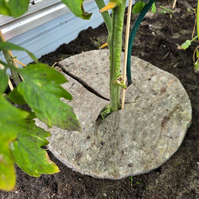 Prírodná záhradná vlna Mary's Disc, 45 cm 1