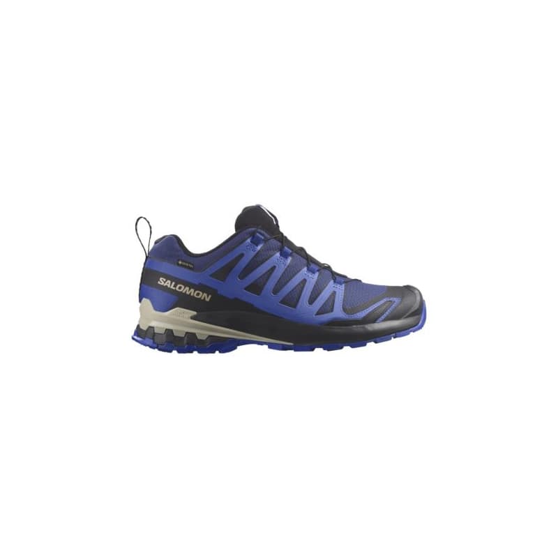 Pánska bežecká trailová obuv SALOMON XA Pro 3D V9 GTX blue print surf the web lapis blue