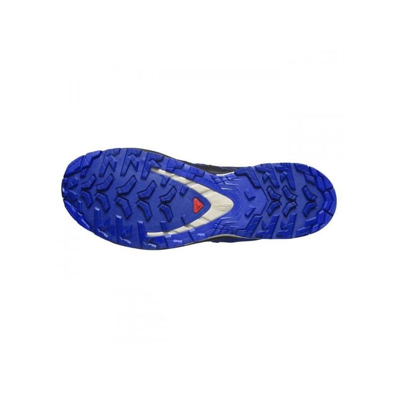 Pánska bežecká trailová obuv SALOMON XA Pro 3D V9 GTX blue print surf the web lapis blue 6