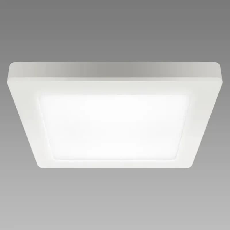 Stropné svietidlo OLGA LED D 24W WHITE CCT 04063 PL1 1