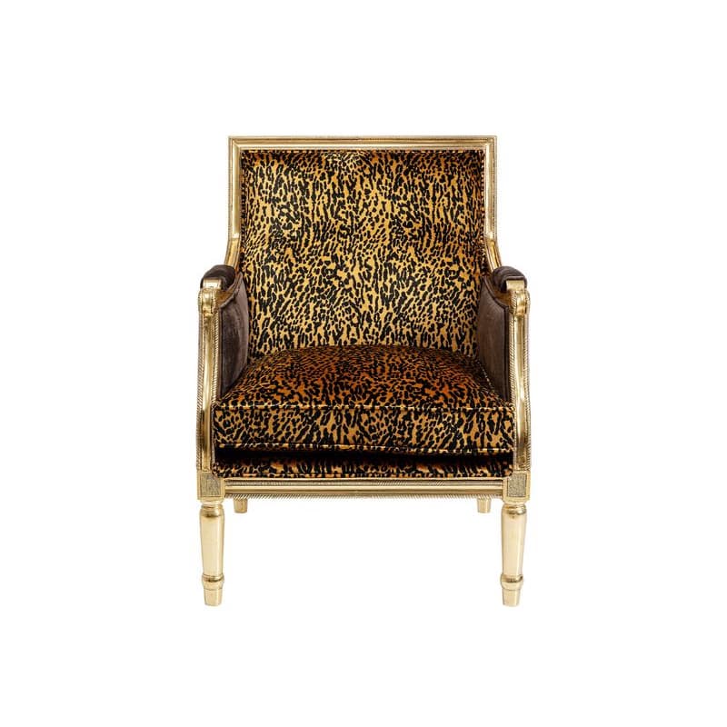 Regency kreslo viacfarebné 1