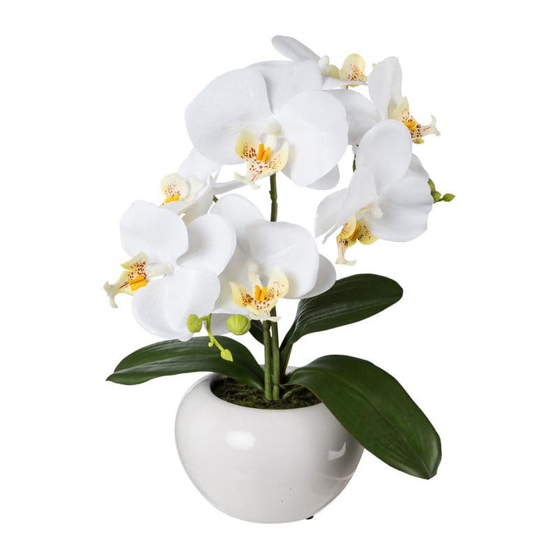 Orchidea v keramickom kvetináči, 35 cm, biela 1