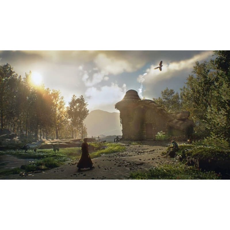 PS5 hra Hogwarts Legacy 3