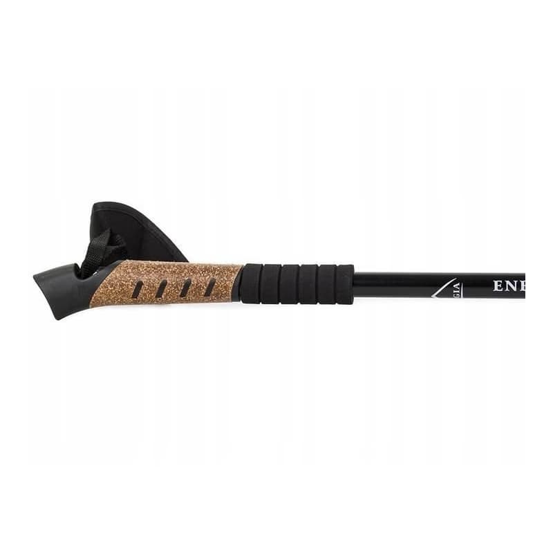Trekingové palice Nordic Walking s korkovou rukoväťou, 135 cm, 2 ks, Modrá 3