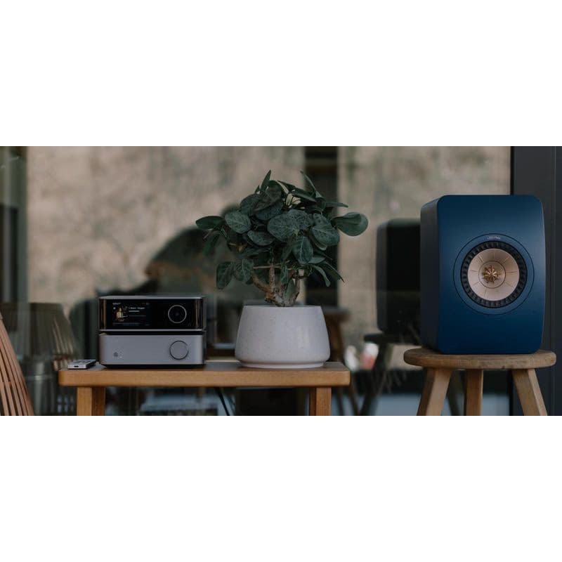 WiiM Vibelink Amp - Silver 4