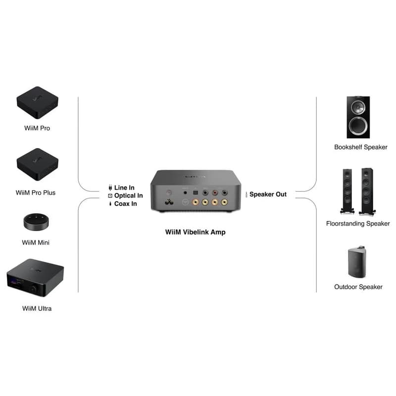WiiM Vibelink Amp - Silver 5