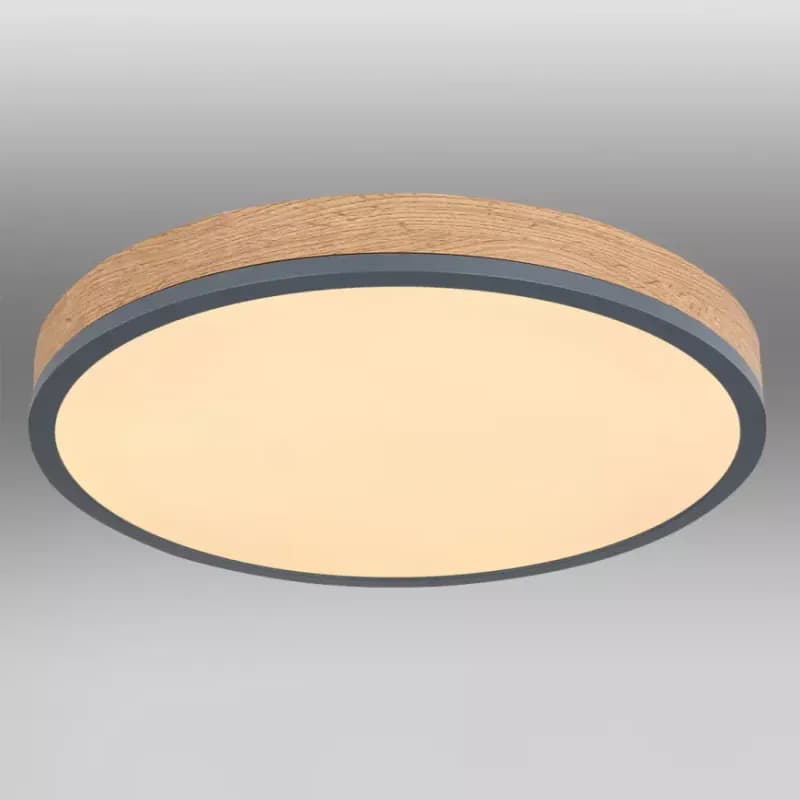 Stropnica 416080WD2R LED 24W grafit PL 1