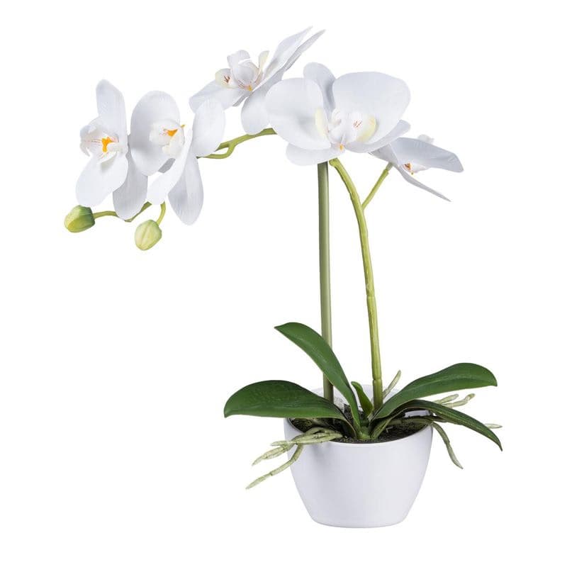 Orchidea v bielej melamínovej nádobe, 33 cm, biela 1