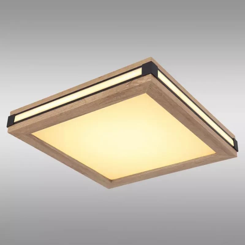 Stropná lampa 41589D1 LED 12W PL1 1