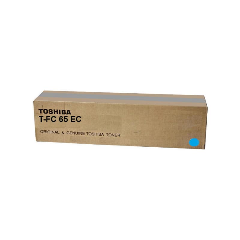 TOSHIBA 6AK00000179 - originálny 1