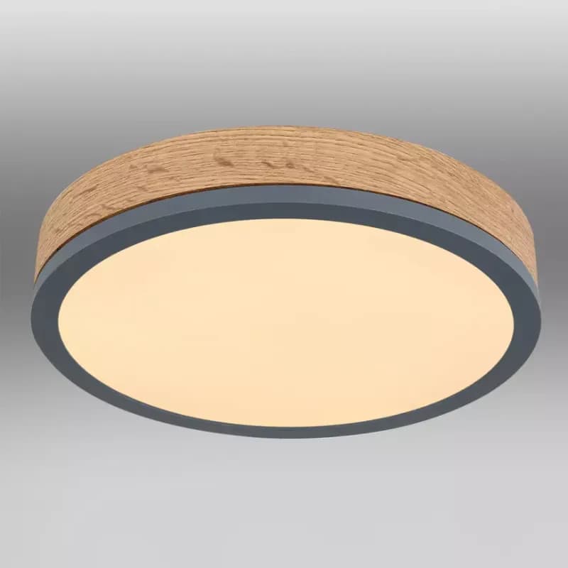 Stropnica 416080WD1R LED 12W grafit PL