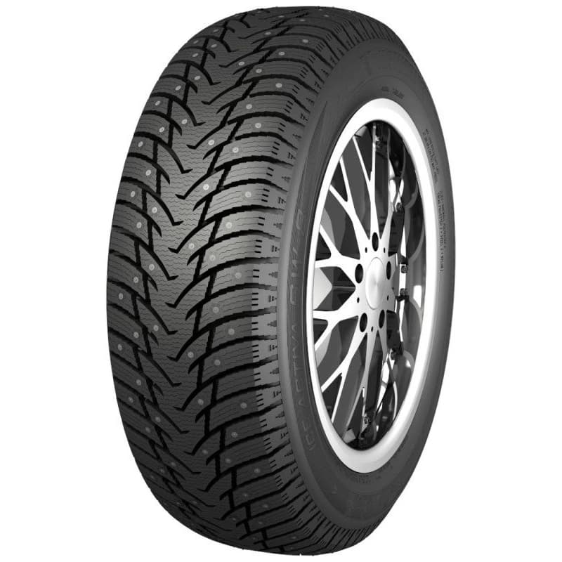 Nankang ICE ACTIVA SW-8 ( 195/50 R15 82T, pneumatika s hrôtmi, s ochrannou lištou (MFS) )