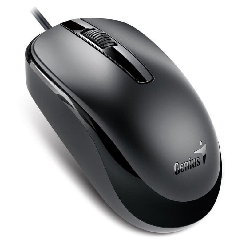 Genius DX-120 Myš, drôtová, optická, 1200DPI, 3 tlačidlá, USB-C, čierna
