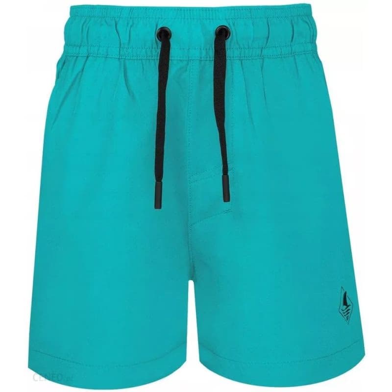 Chlapčenské plavky 4F JUNIOR BOARD SHORTS M018-47S-MINT 5