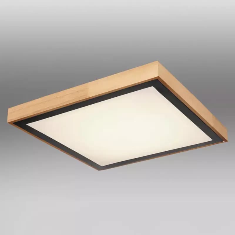 Stropnica 41764-24Q LED PL 1