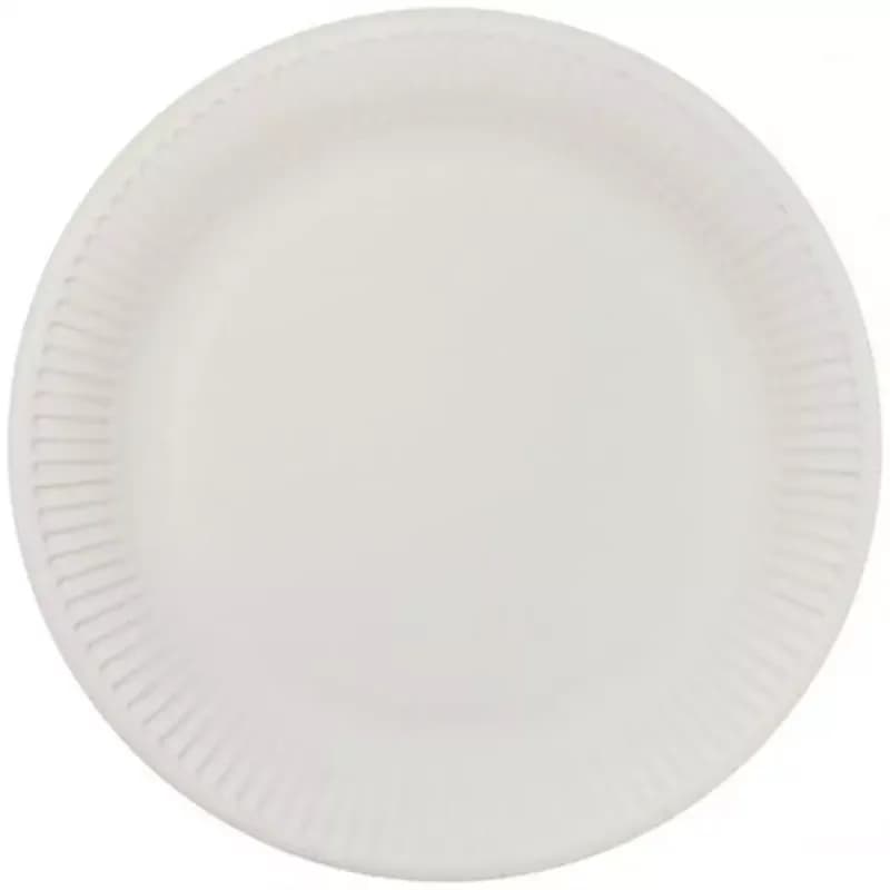 Papierové taniere pr. 23 cm (10 kusov)