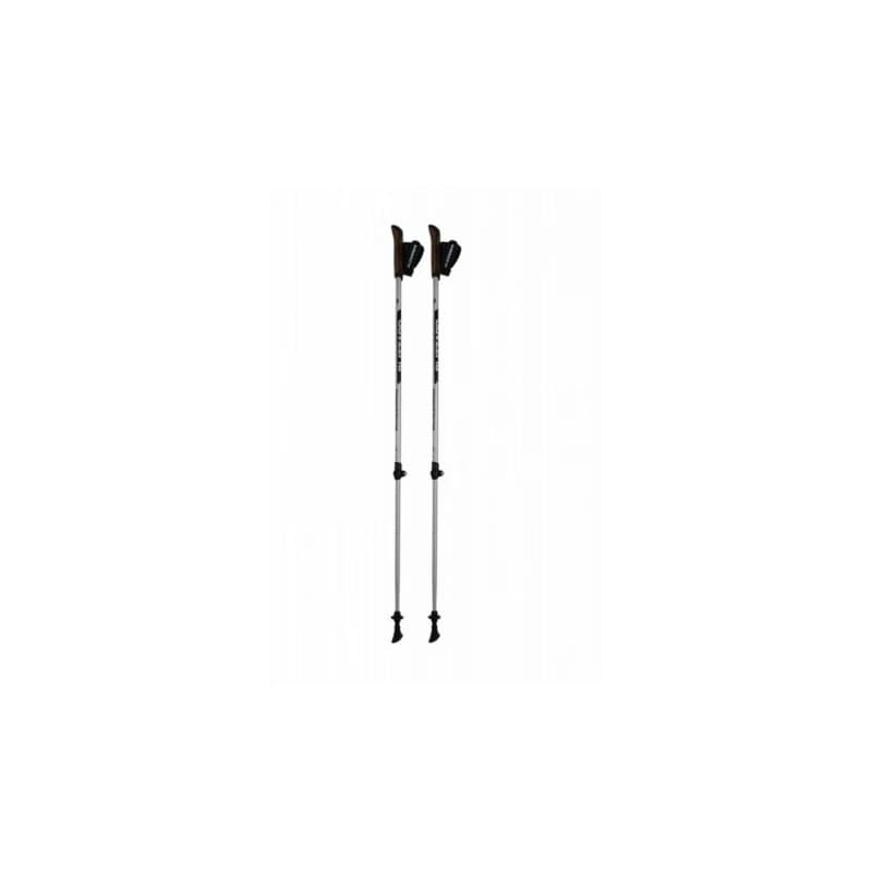 Nordic walking palice BLIZZARD Alu Performance nordic walking poles, silver black