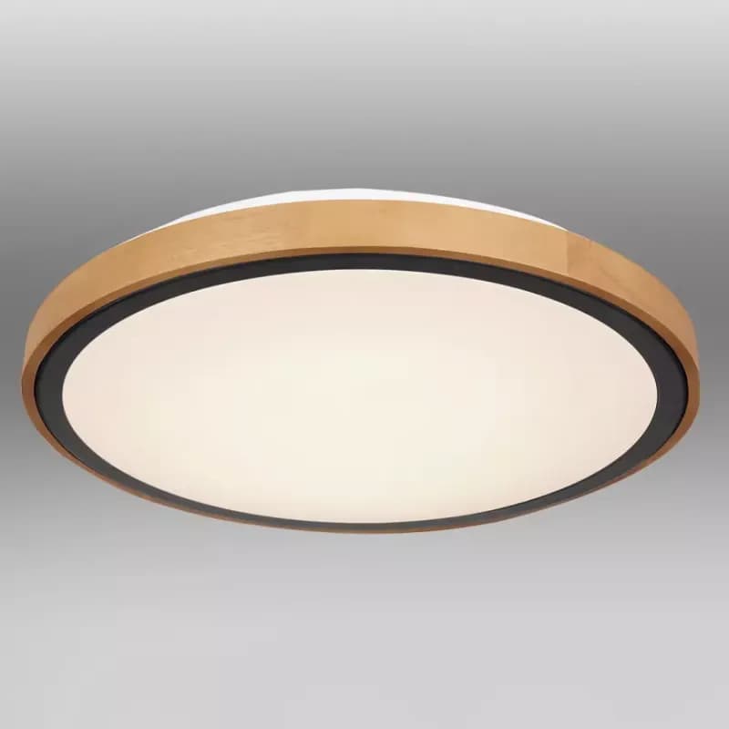 Stropnica 41764-24 LED 24W čierna PL