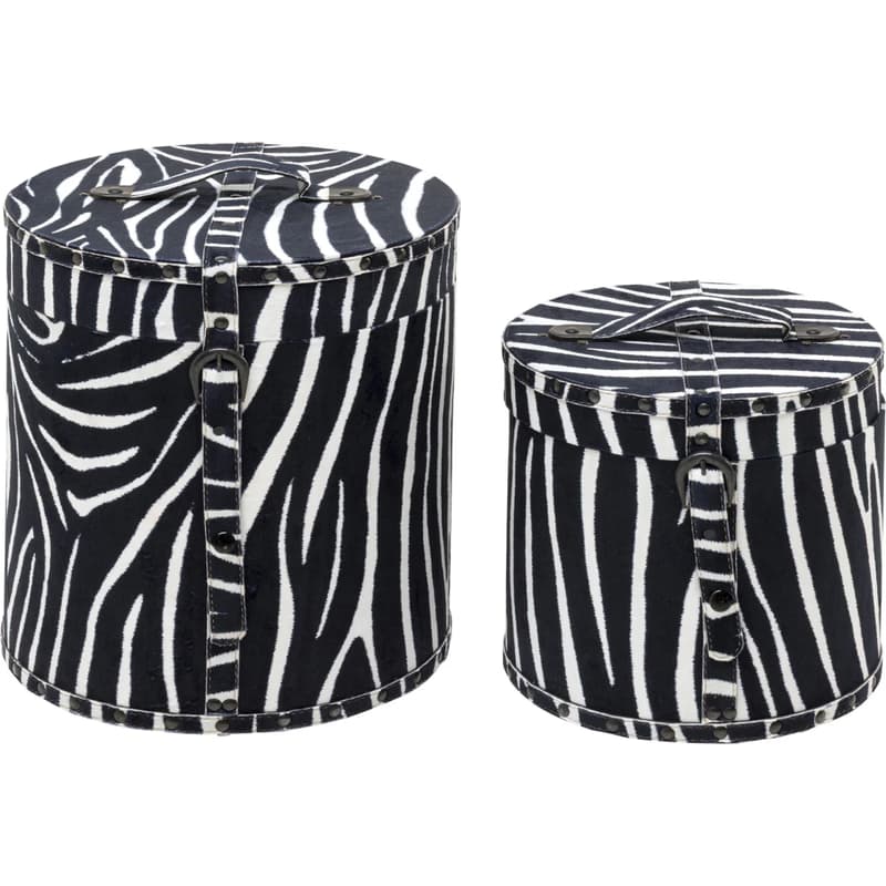 Box Wild Animal Zebra (sada 2 ks) 1