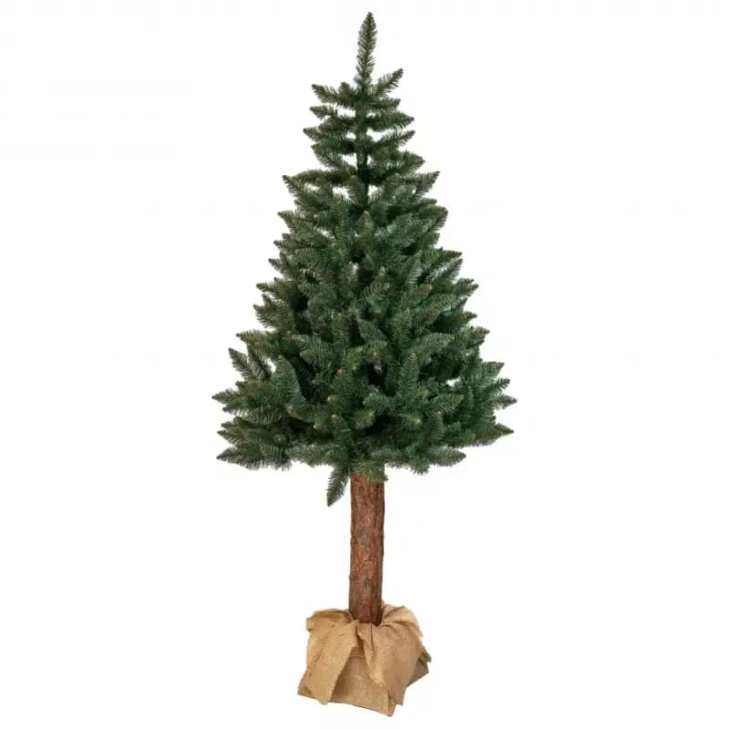 Smrek na kmeni 220 cm 1