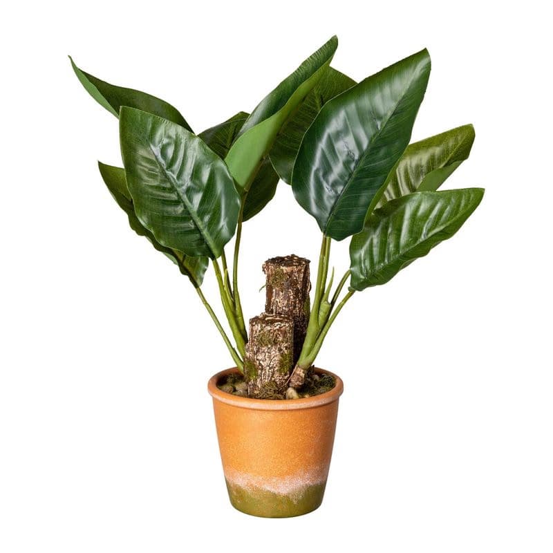 Umelá rastlina Filodendron, 45 cm 1
