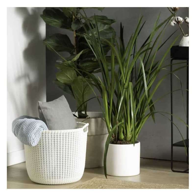CURVER Okrúhly kôš KNIT 30l | krémová 6