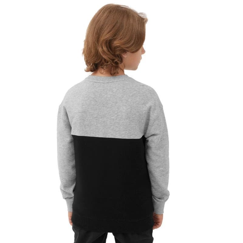 Chlapčenská mikina 4F JUNIOR SWEATSHIRT-JAW23TSWSM630-27M-COLD LIGHT GREY MELANGE 3