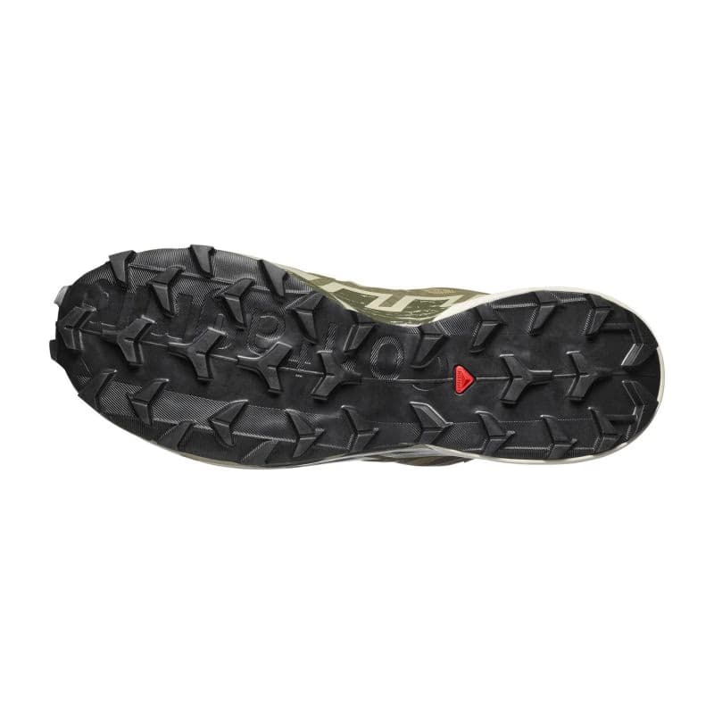 Pánska bežecká trailová obuv SALOMON Speedcross 6 GTX M aloe aspargus green grape leaf 6