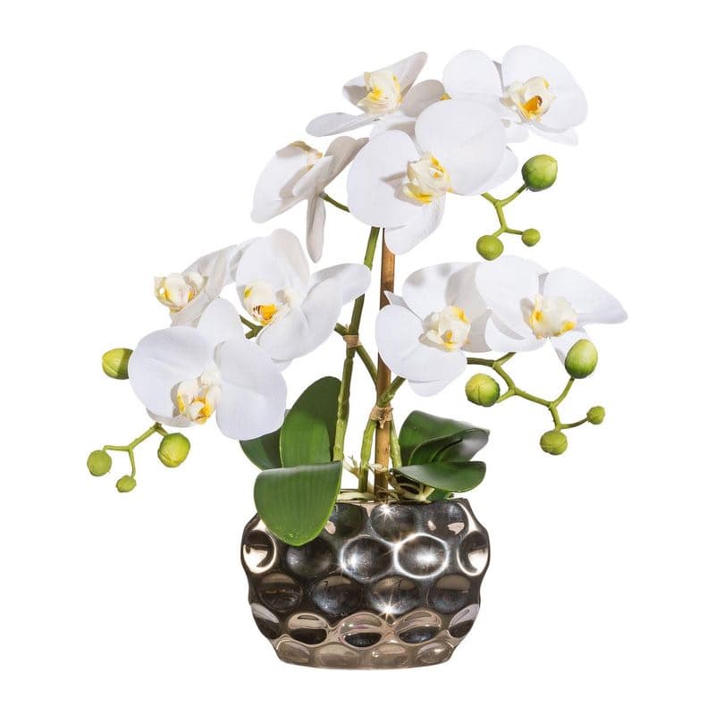 Orchidea x3, približne 30 cm biela, v oválnej váze 1
