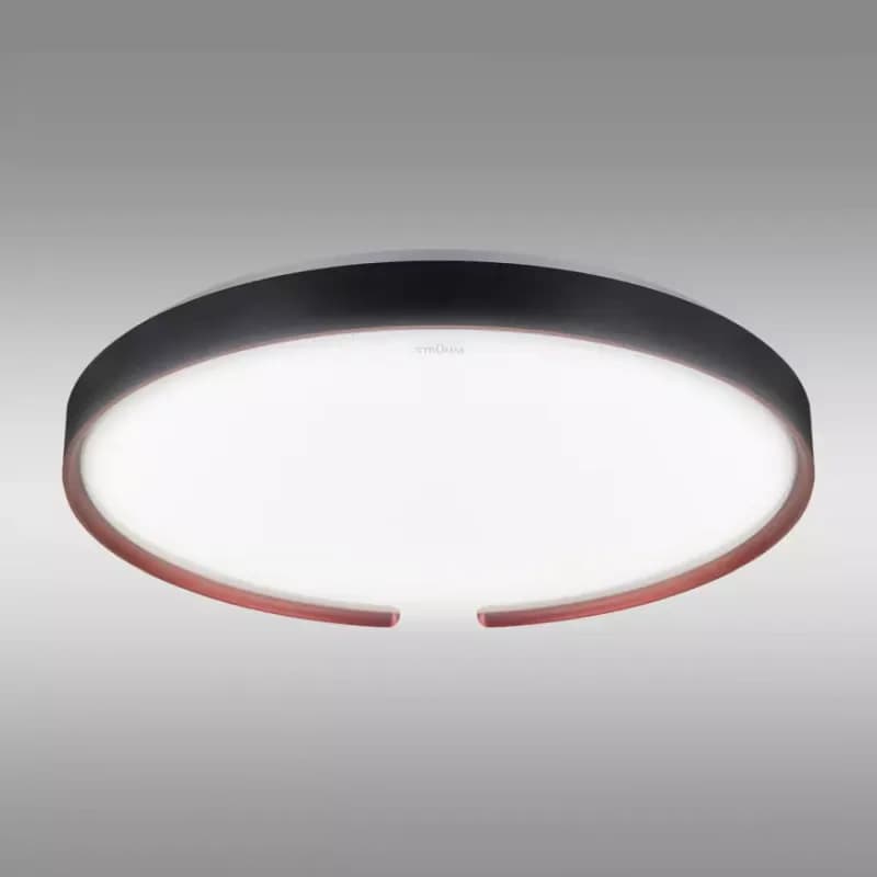Stropná lampa ESPERANTO LED C 24W SMART WI-FI 04076 PL1