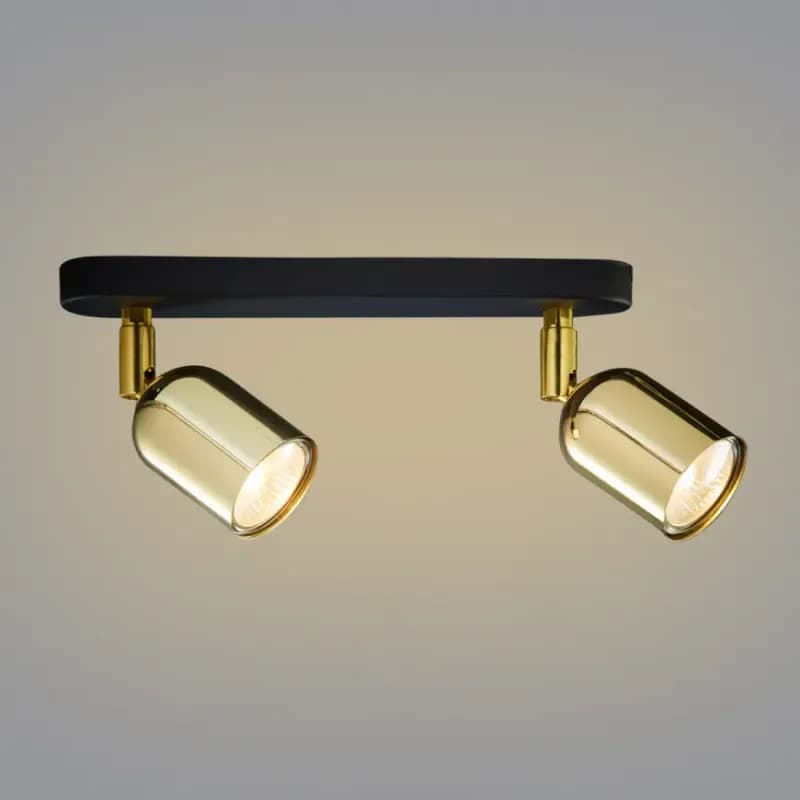 Stropné bodové svietidlo Top Gold 6031 Ls2 1