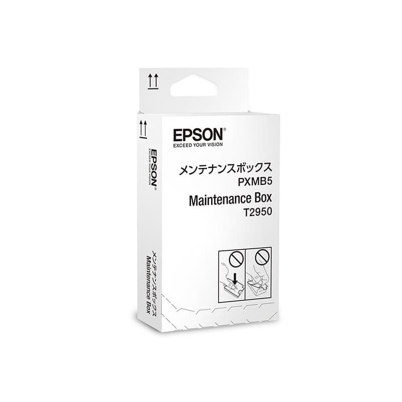 EPSON T2950 (C13T295000) - originálny 1