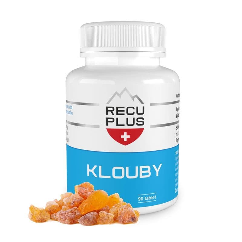 RECUPLUS Kĺby, 90 tabliet 1