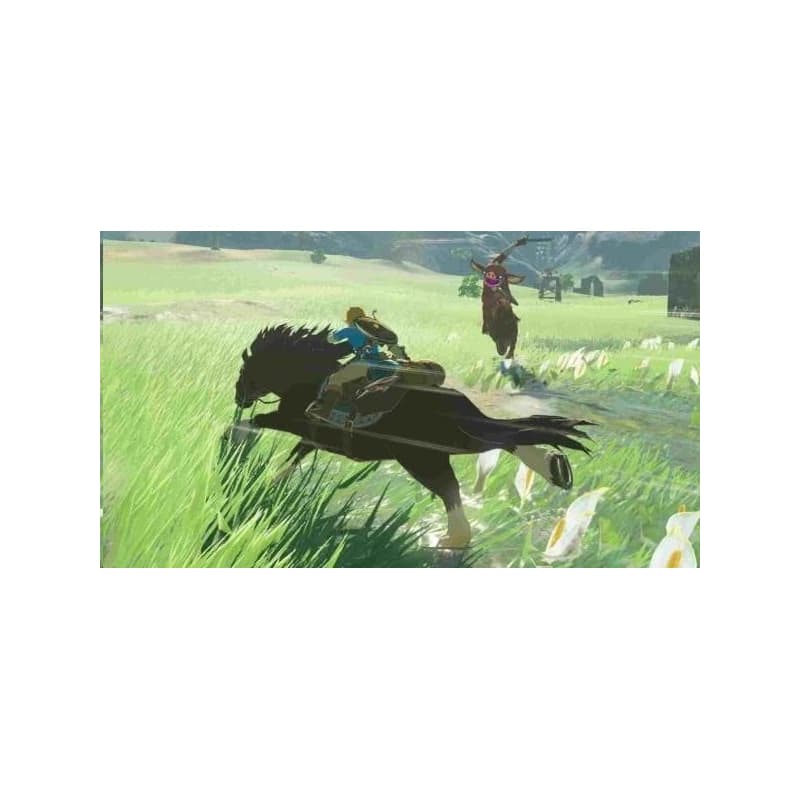 SWITCH Legend of Zelda: Breath of the Wild 2