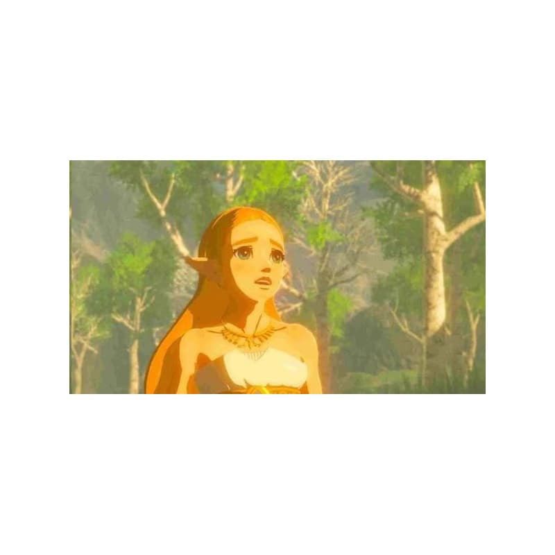 SWITCH Legend of Zelda: Breath of the Wild 4