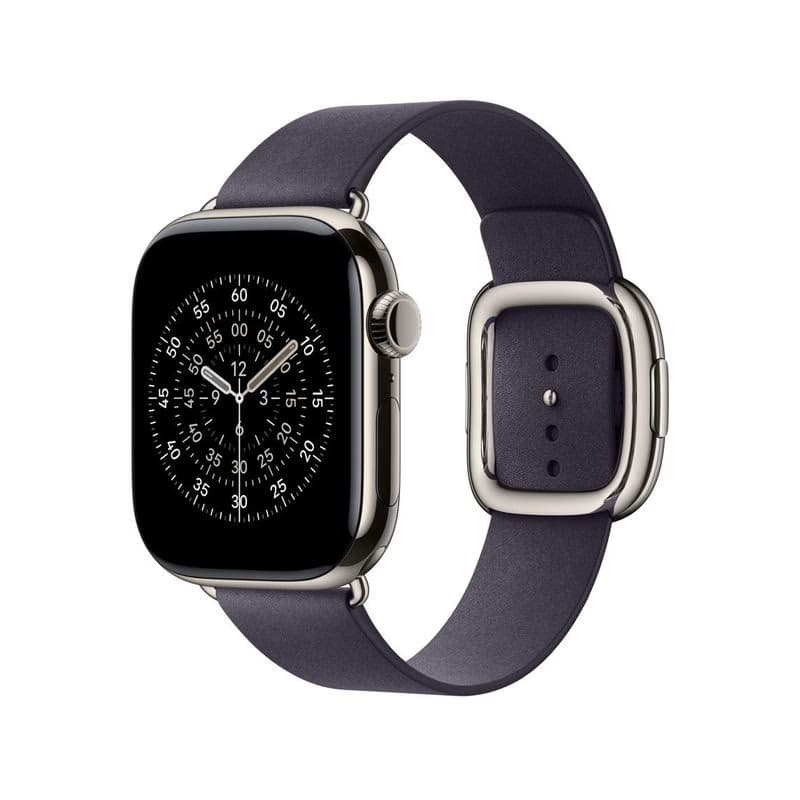 Watch Acc/42/Midnight Purple Modern Buckle - L 2