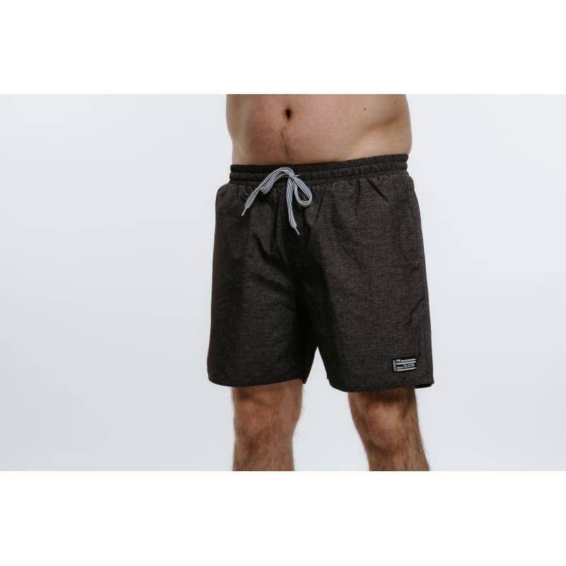 Pánske plavky AUTHORITY SW-COLORAS grey melange 2