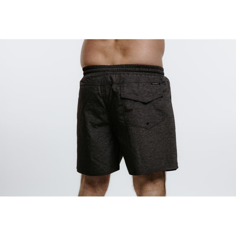 Pánske plavky AUTHORITY SW-COLORAS grey melange 3